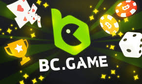 Understanding the BC.Game Login Process A Comprehensive Guide -203719858
