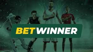 Explore the Exciting World of BetWinner Sportsbook